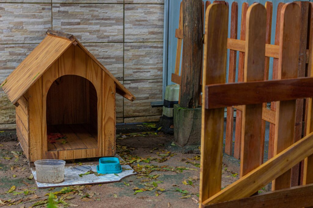 dog house for small dogs