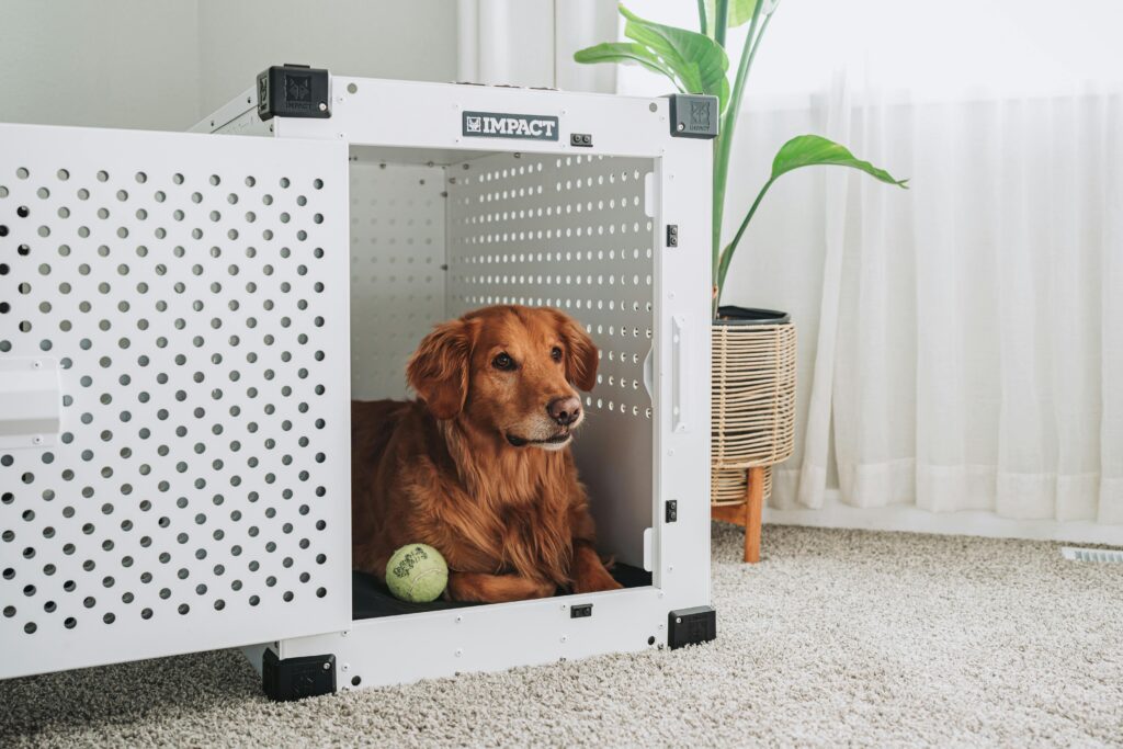 dog crate for small dogs